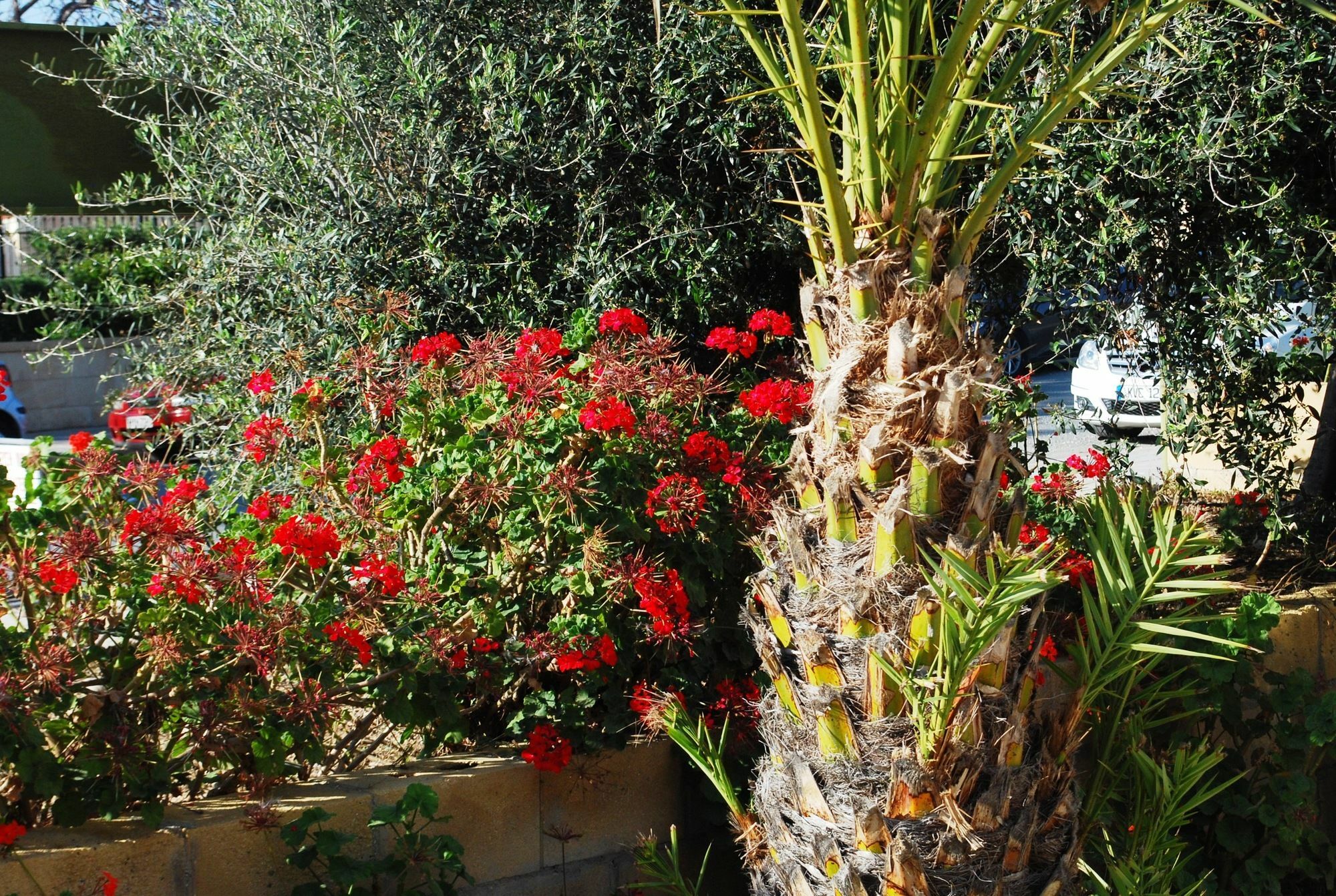 Georgia Apartments Pafos Zewnętrze zdjęcie