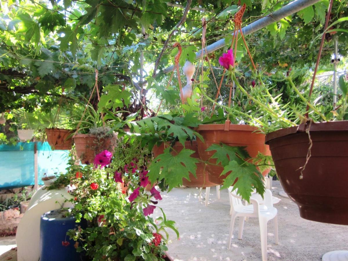 Georgia Apartments Pafos Zewnętrze zdjęcie